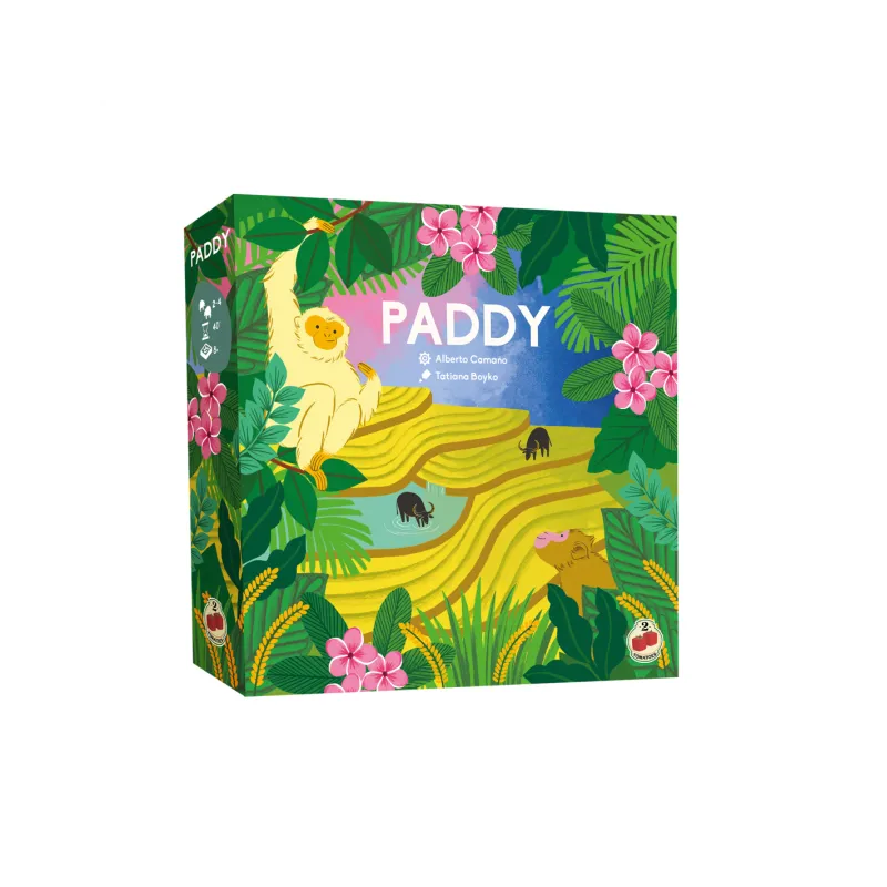 Paddy