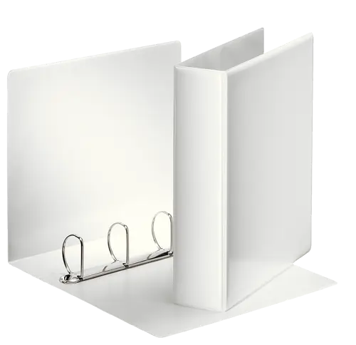 [5701216497053] Carpesano Binder Esselte